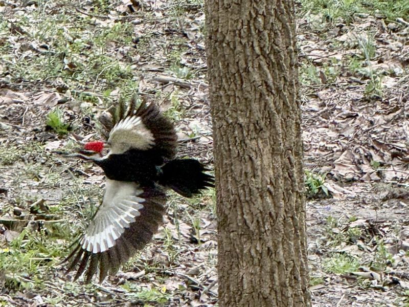 430 Leander Drive, Springfield, OH 45504 Photo 104