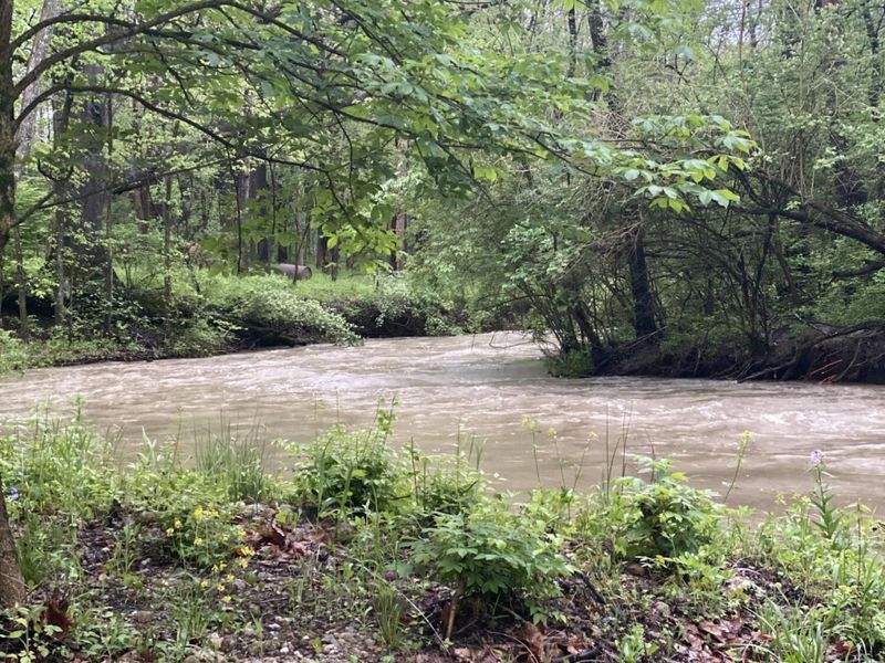 430 Leander Drive, Springfield, OH 45504 Photo 105