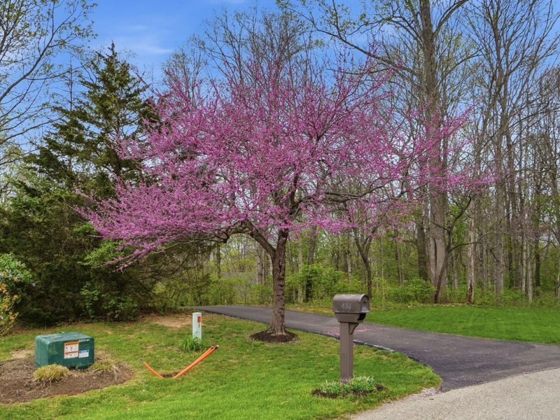 430 Leander Drive, Springfield, OH 45504 Photo 99