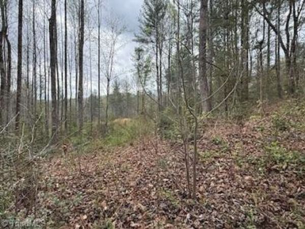 TBD Hollow Springs Circle , Boomer, NC 28606