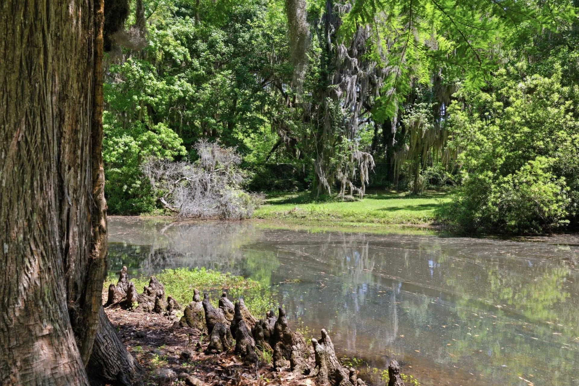 7 Chapel Creek Rd. Photo 42