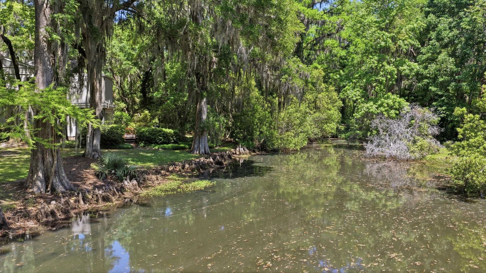 7 Chapel Creek Rd. Photo 51