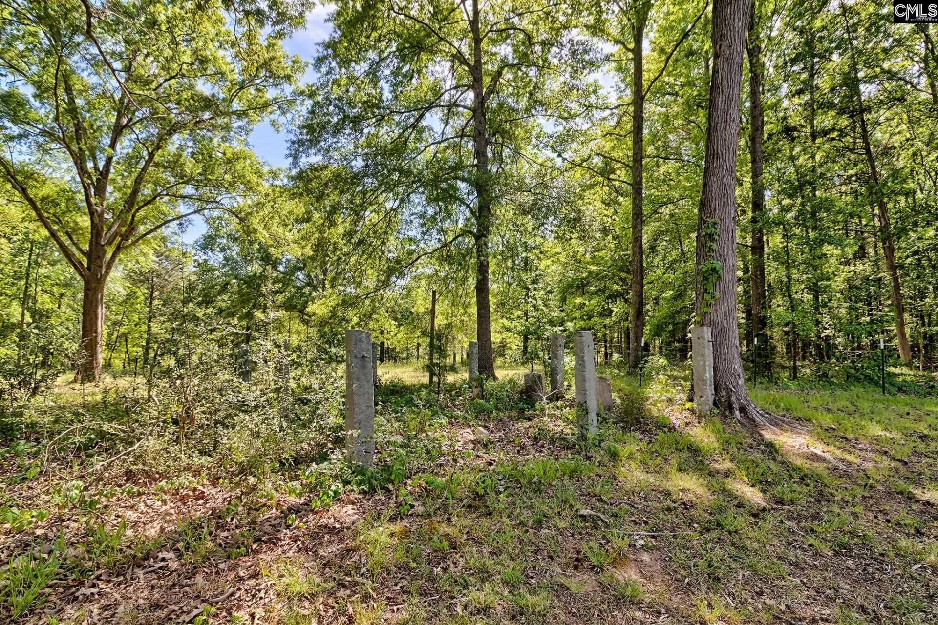 331 Holloway Street  Photo 13