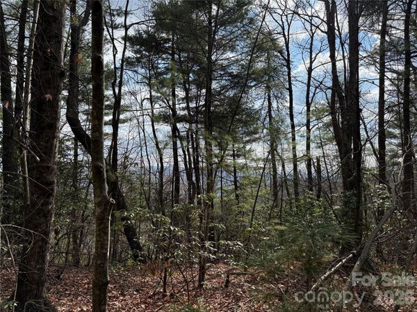 TBD Staghorn Road , Purlear, NC 28665