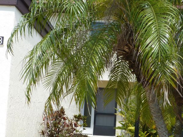 8718 Bay Court , Cape Canaveral, FL 32920