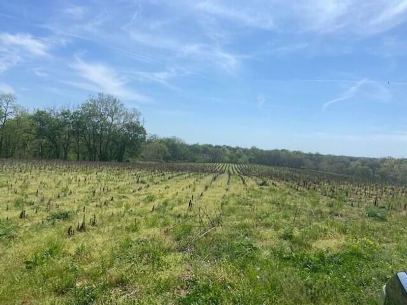 61000 US Highway 68, Mays Lick, KY 41055 Photo 13