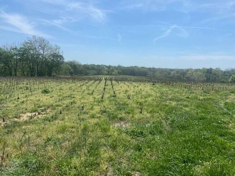 61000 US Highway 68, Mays Lick, KY 41055 Photo 14