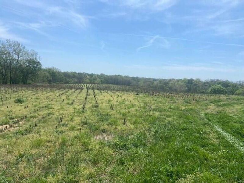 61000 US Highway 68, Mays Lick, KY 41055 Photo 22