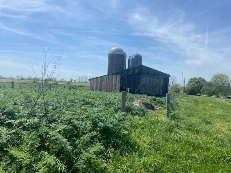 61000 US Highway 68, Mays Lick, KY 41055 Photo 8