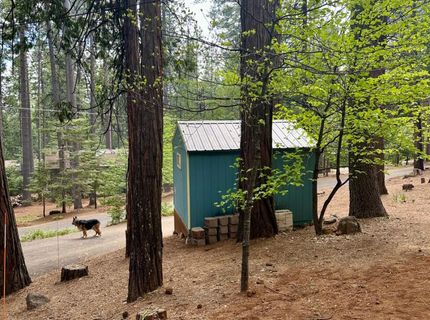 1783 Stanislaus Dr, Arnold, CA 95223 Photo