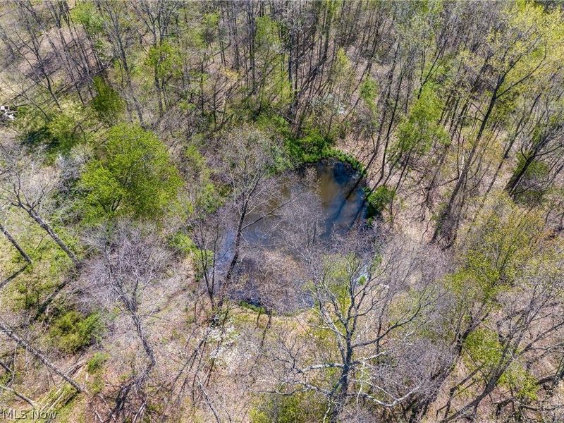 Bagley Road , Mount Perry, OH 43760 Photo 13