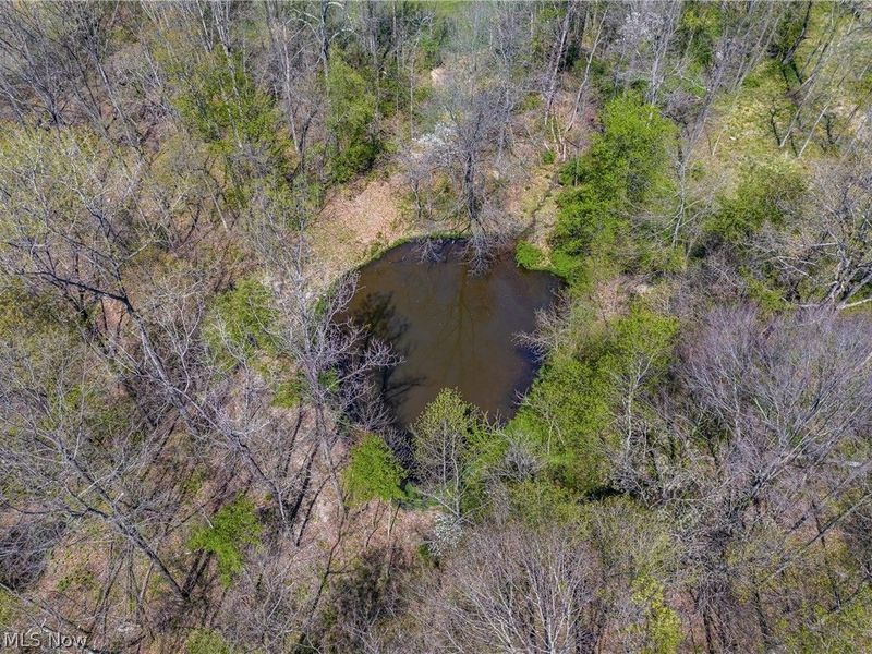 Bagley Road, Mount Perry, OH 43760 Photo 14