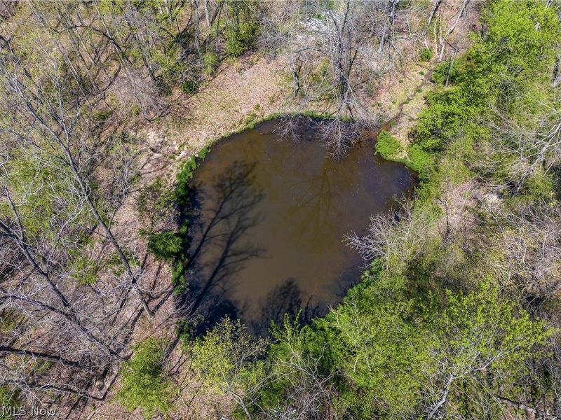 Bagley Road, Mount Perry, OH 43760 Photo 15