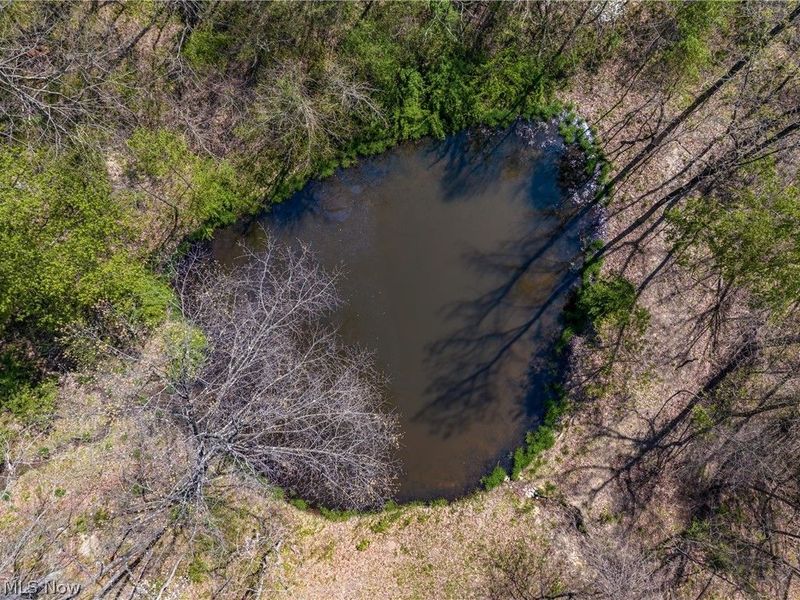 Bagley Road, Mount Perry, OH 43760 Photo 16