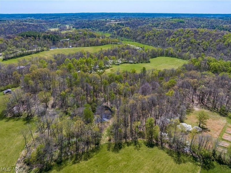 Bagley Road, Mount Perry, OH 43760 Photo 17