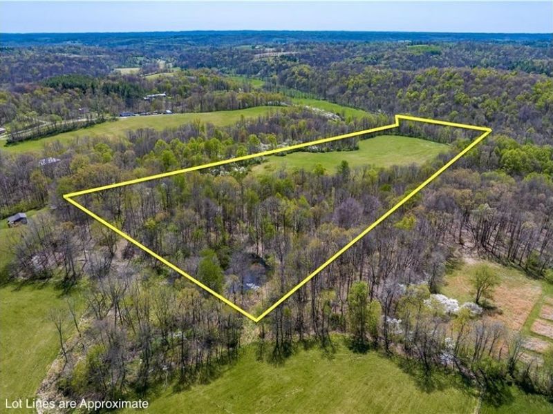 Bagley Road , Mount Perry, OH 43760 Photo 20