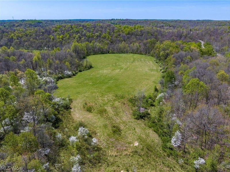 Bagley Road, Mount Perry, OH 43760 Photo 4