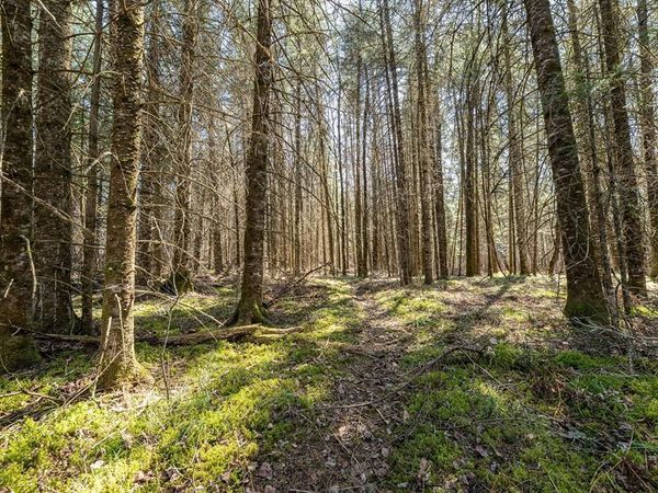 0 Clover Rd S, Winter, WI 54896