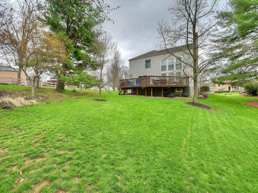 Property Image 33