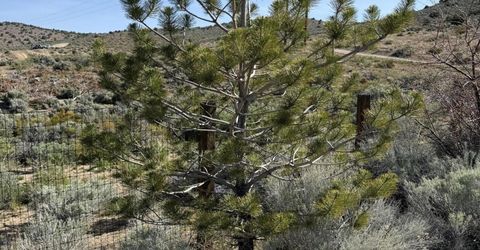 6260 Pursia Road, Carson City, NV 89701 Photo