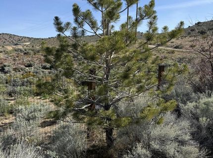 6260 Pursia Road, Carson City, NV 89701 Photo