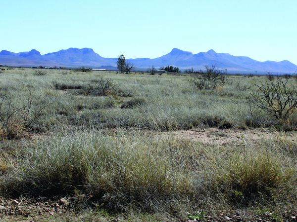 1.38 Acres N San Louis Rey Drive, Unit 305, Douglas, AZ 85607