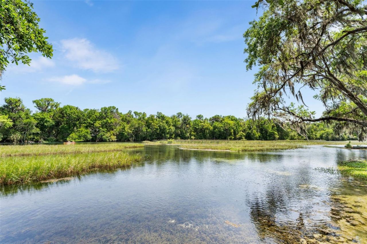 9075 SW 190th Avenue Road, Dunnellon, FL 34432 Photo