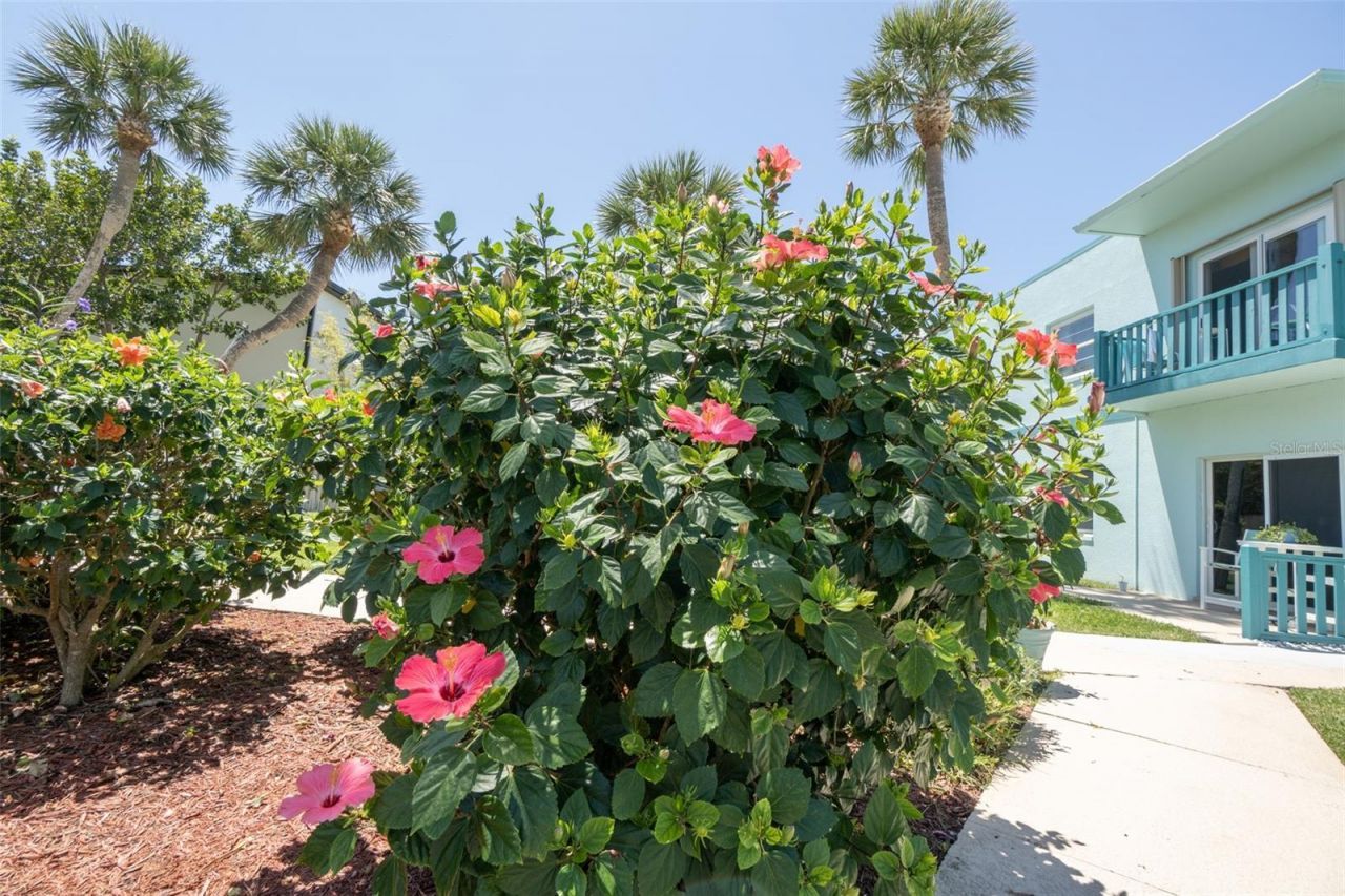 311 Taylor Avenue, Unit G20, Cape Canaveral, FL 32920 Photo