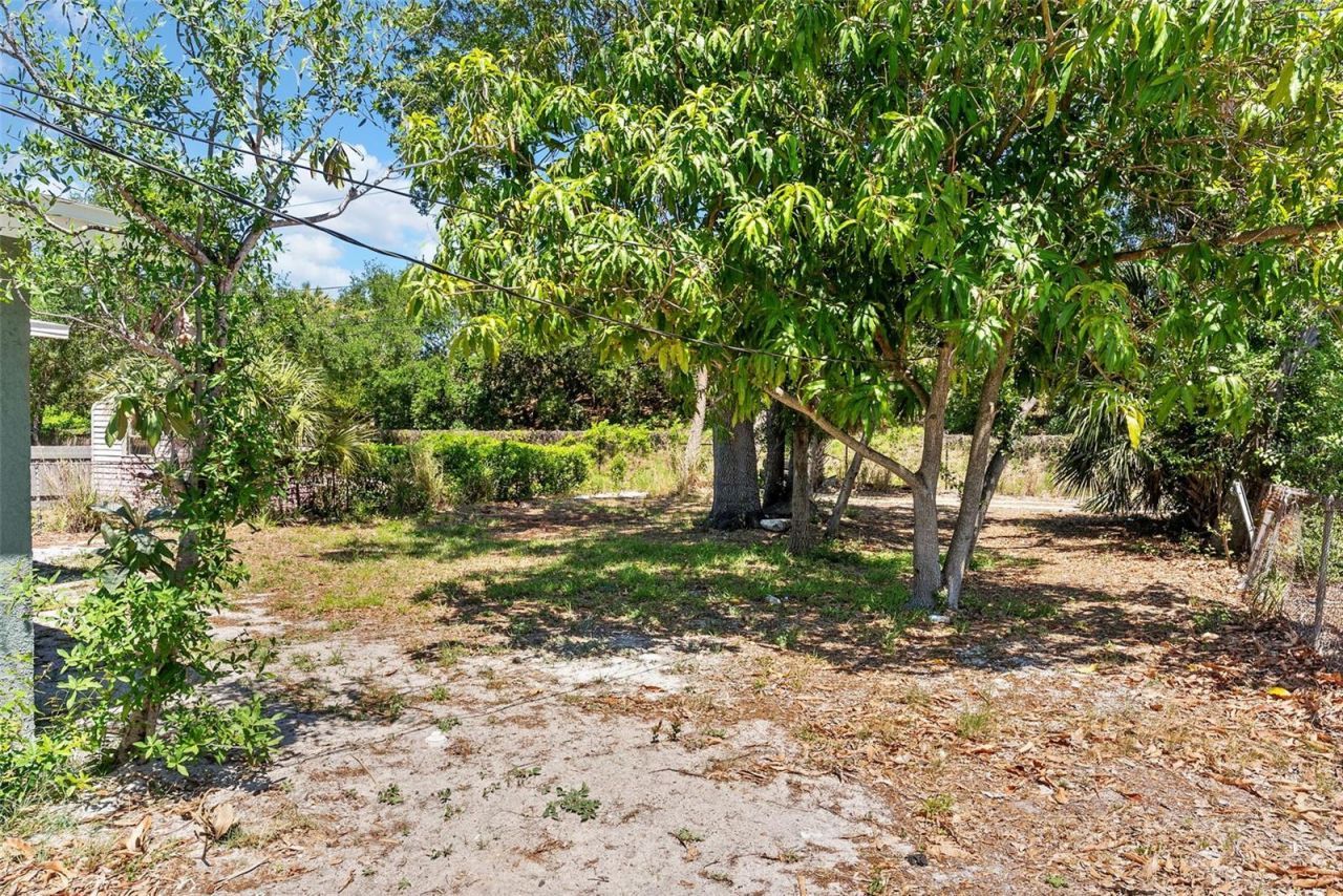 2310 33rd Street S, Saint Petersburg, FL 33712 Photo