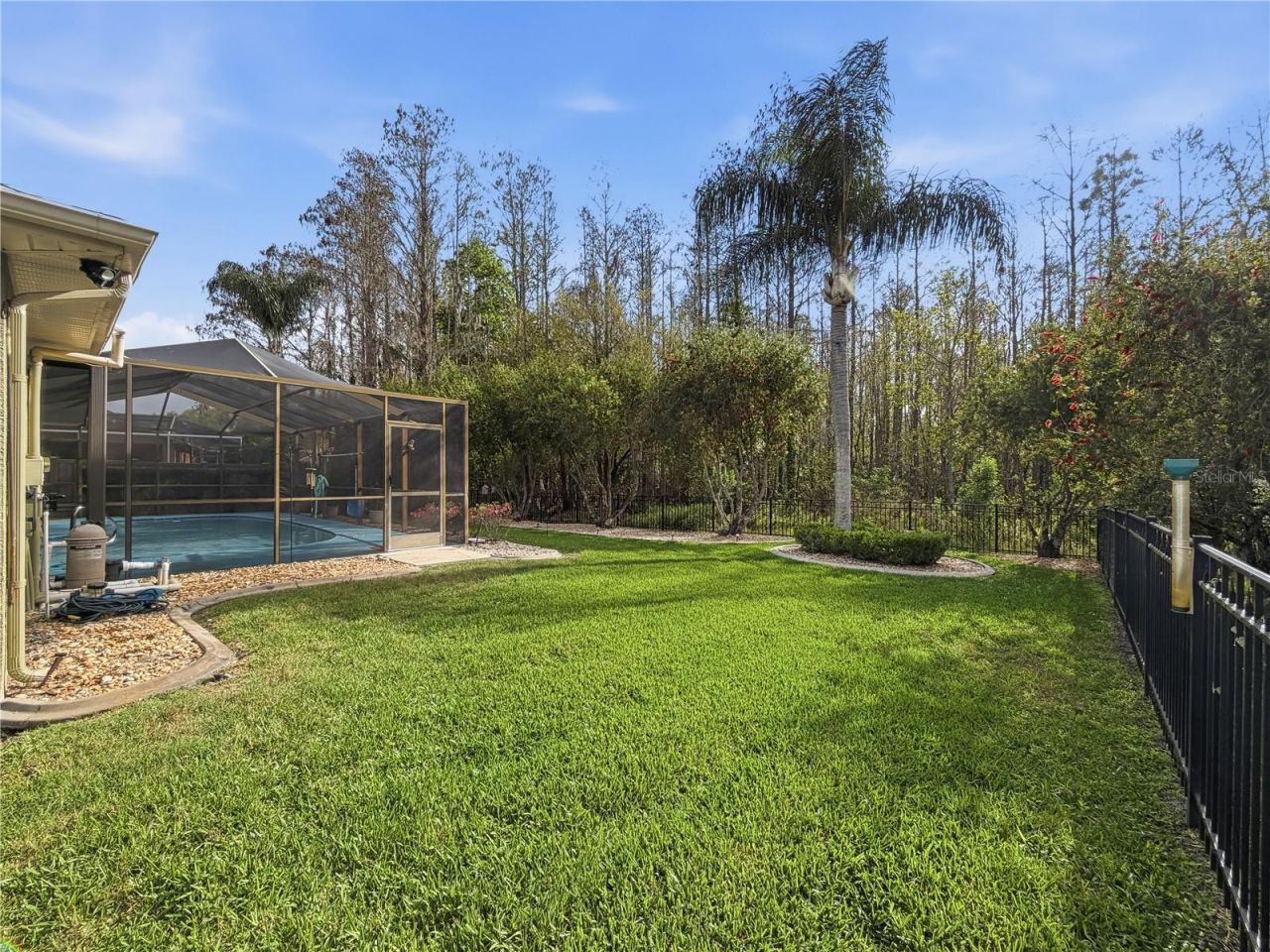 1031 Maravista Drive, Trinity, FL 34655 Photo
