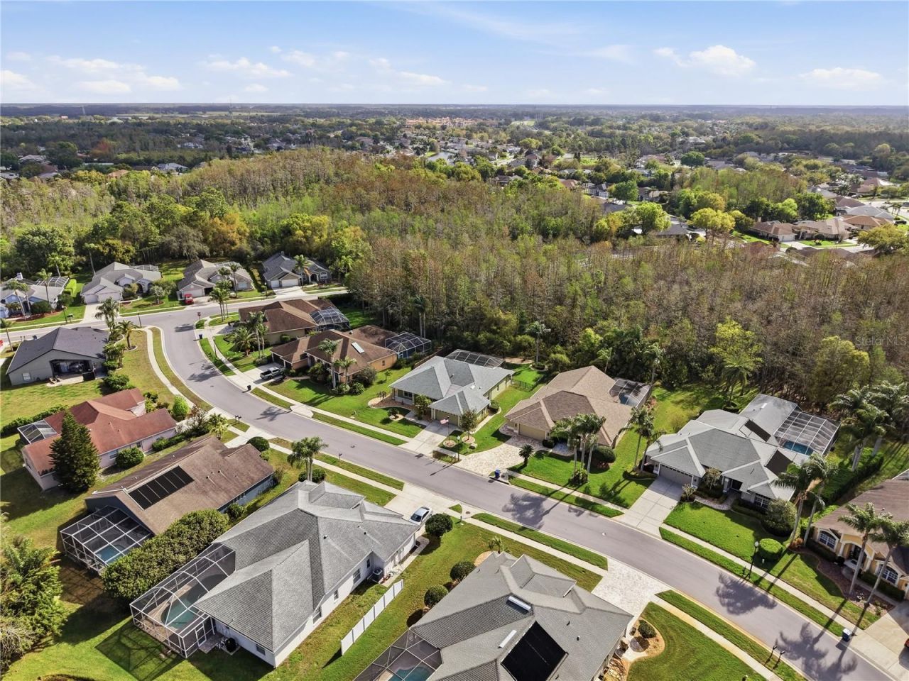 1031 Maravista Drive , Trinity, FL 34655 Photo