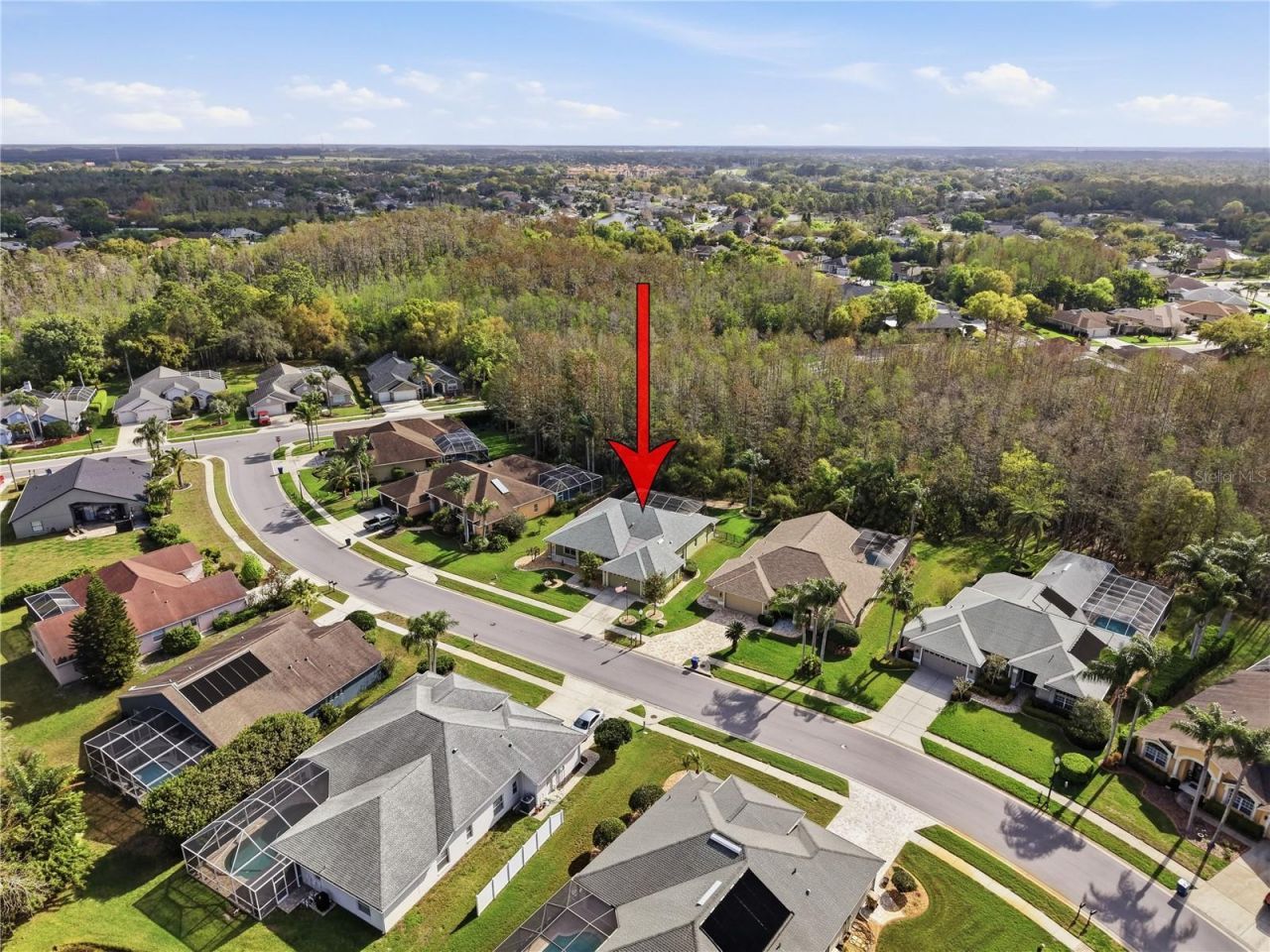 1031 Maravista Drive , Trinity, FL 34655 Photo