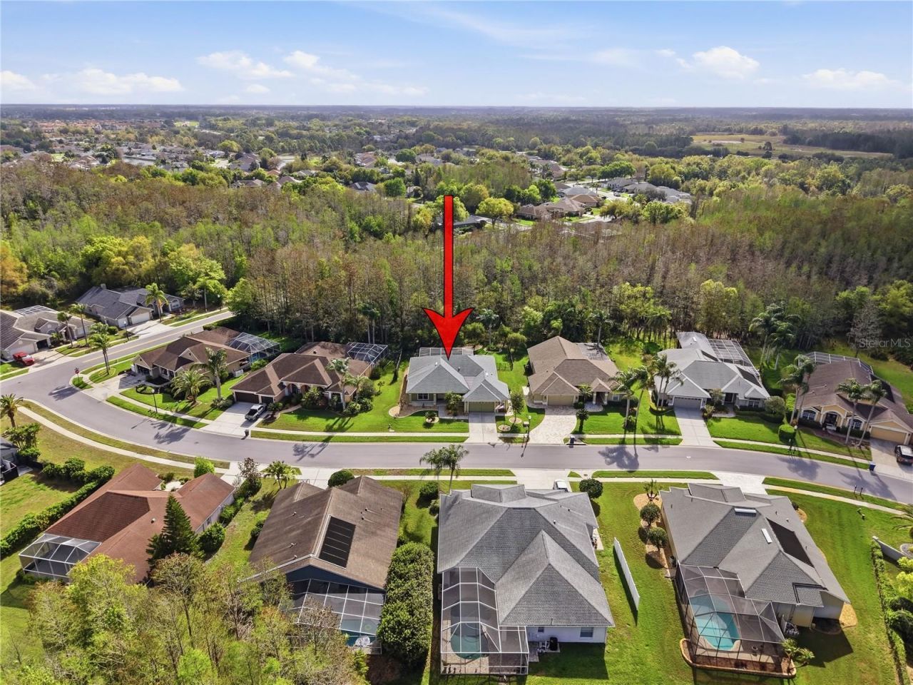 1031 Maravista Drive , Trinity, FL 34655 Photo