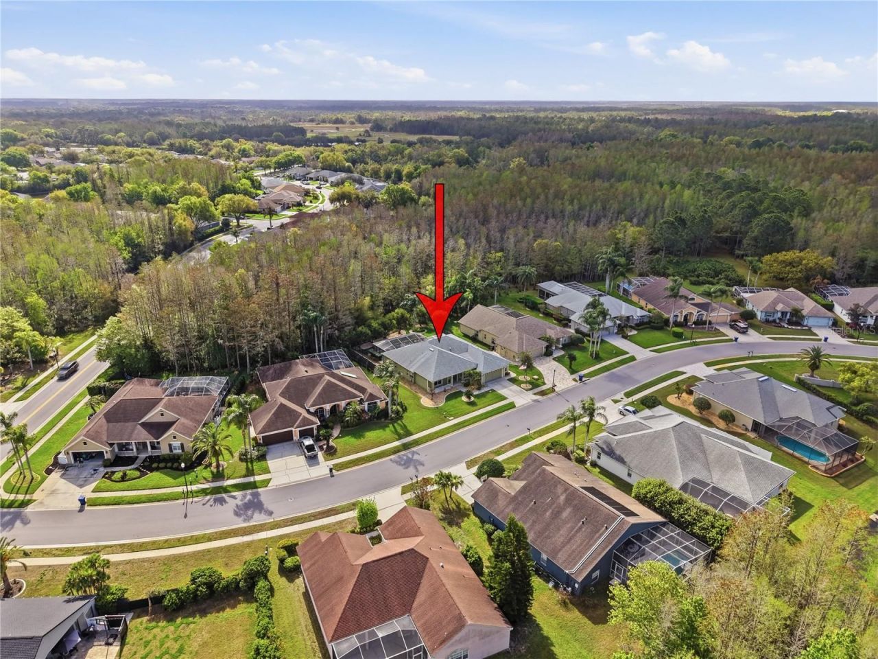 1031 Maravista Drive , Trinity, FL 34655 Photo