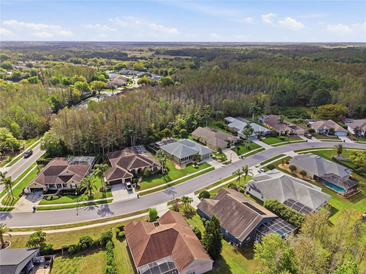 1031 Maravista Drive , Trinity, FL 34655 Photo