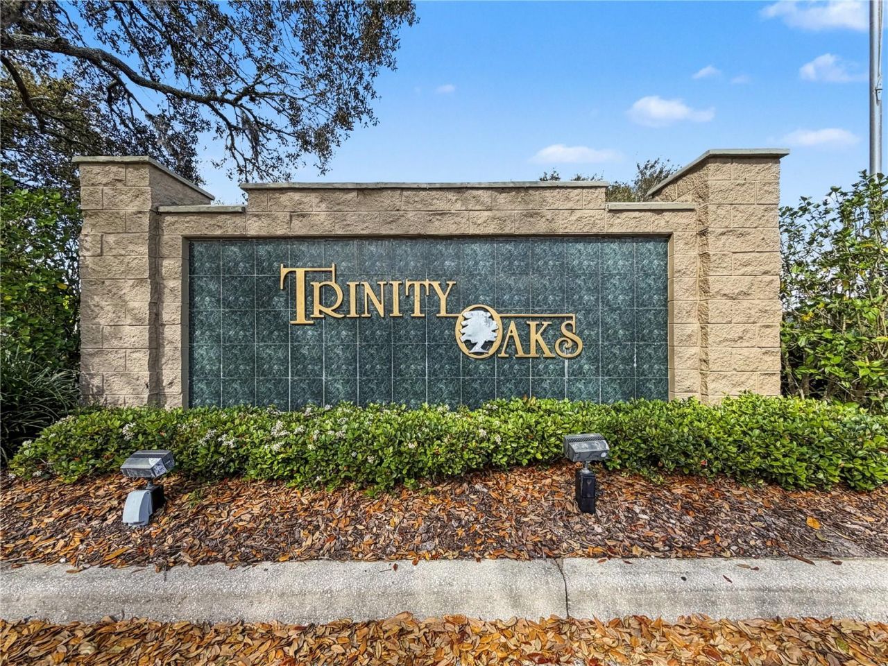 1031 Maravista Drive, Trinity, FL 34655 Photo
