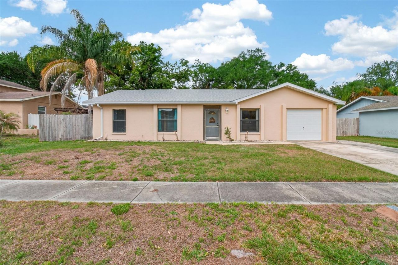3208 Acapulco Drive, Riverview, FL 33578 Photo