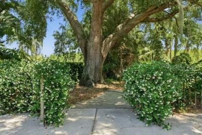 18701 Pepper Pike, Lutz, FL 33558 Photo