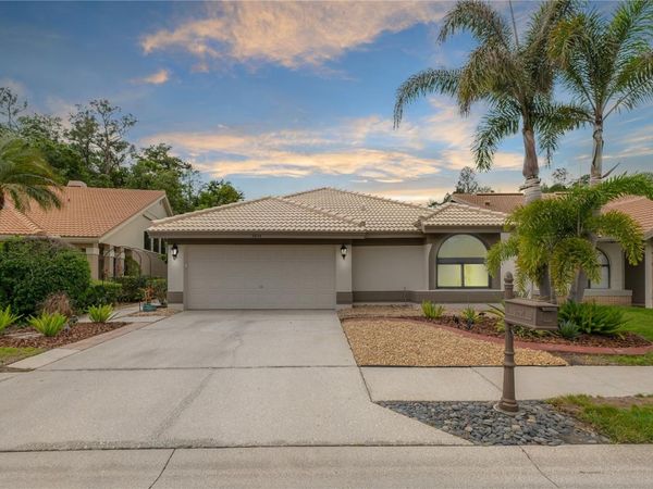 3654 DARSTON STREET , PALM HARBOR, FL 34685
