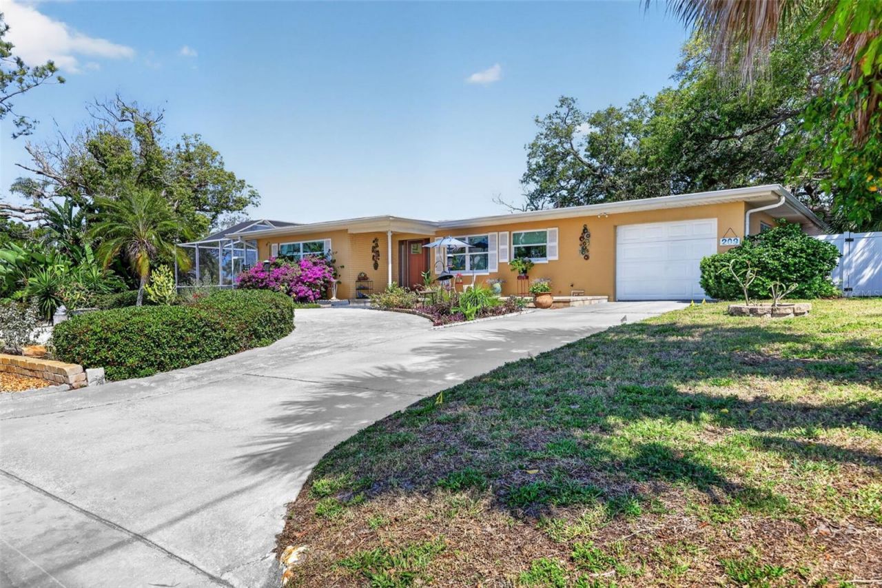 209 Westwinds Drive, Palm Harbor, FL 34683 Photo