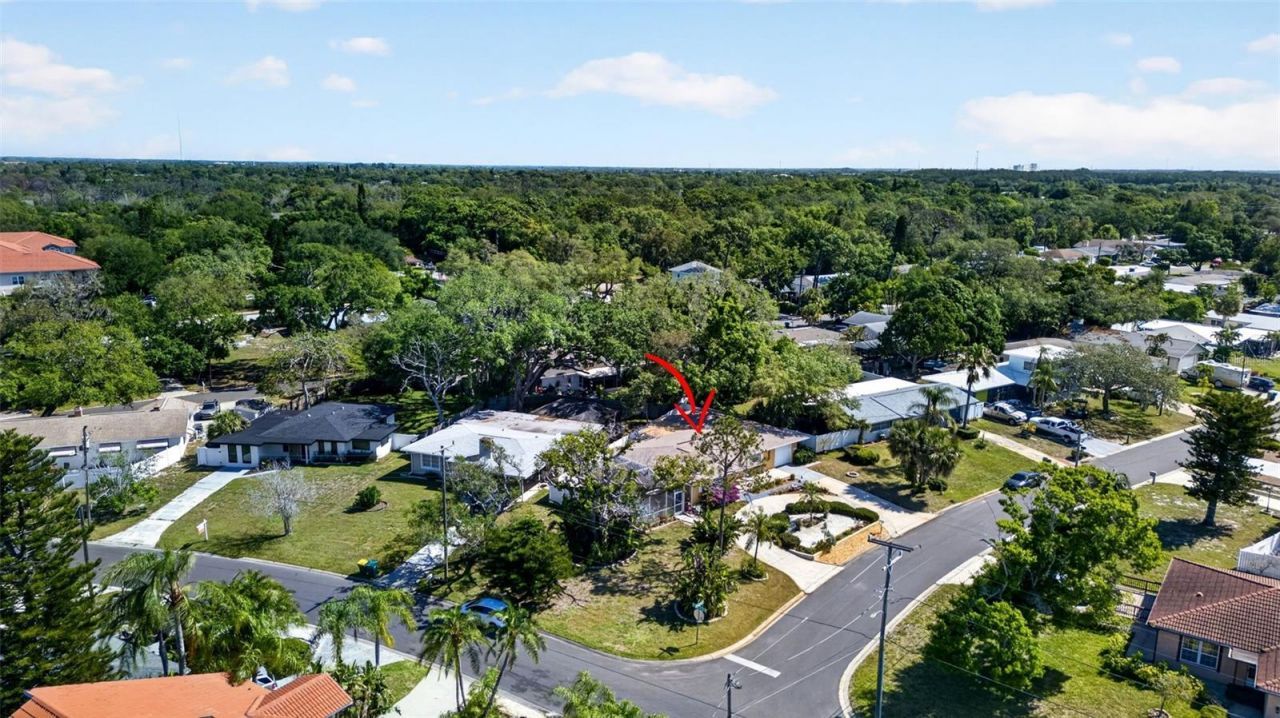 209 Westwinds Drive, Palm Harbor, FL 34683 Photo