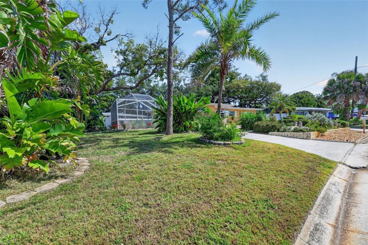 209 Westwinds Drive, Palm Harbor, FL 34683 Photo