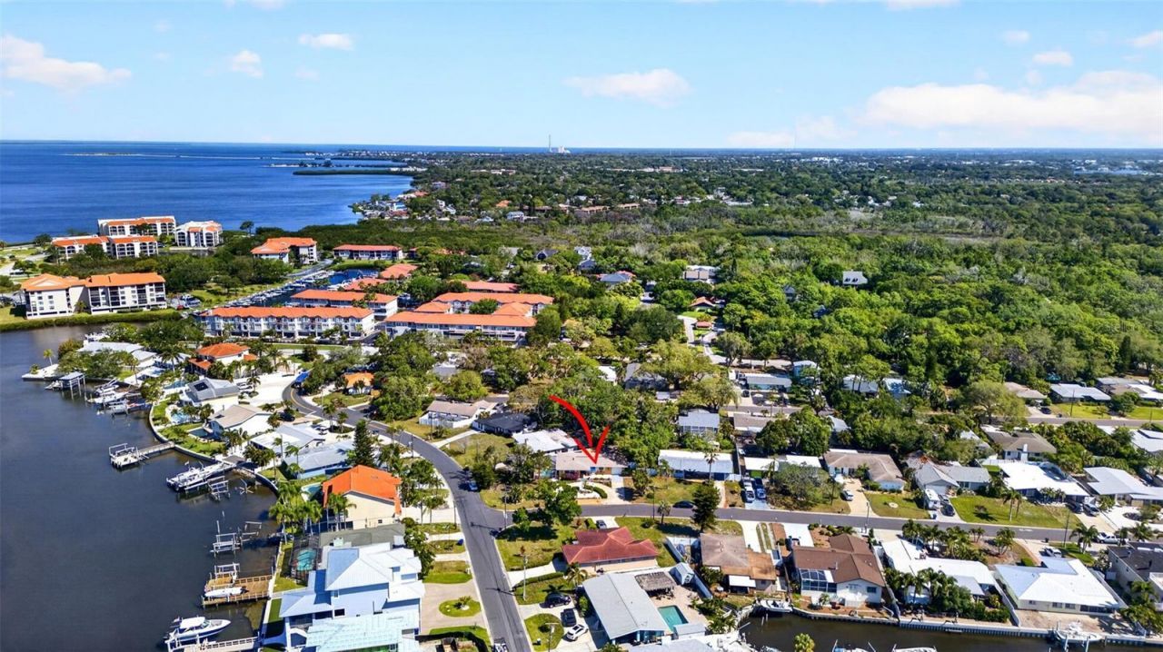 209 Westwinds Drive, Palm Harbor, FL 34683 Photo
