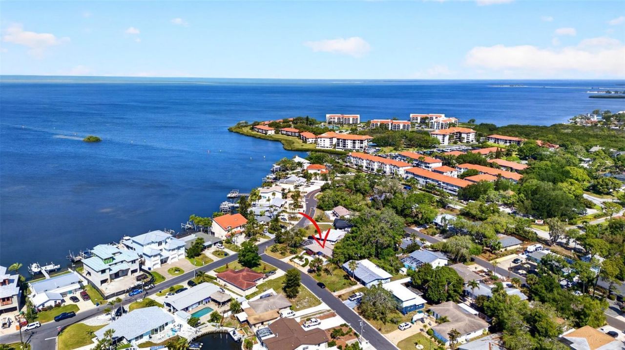 209 Westwinds Drive, Palm Harbor, FL 34683 Photo
