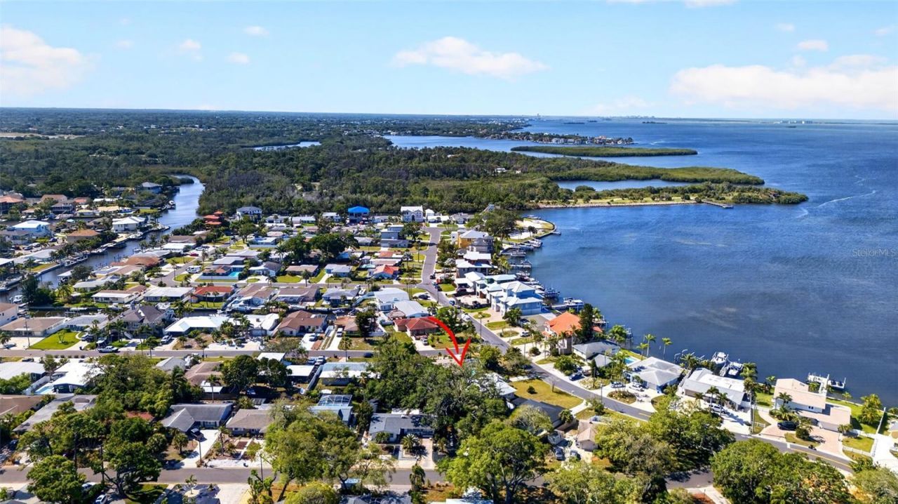 209 Westwinds Drive, Palm Harbor, FL 34683 Photo