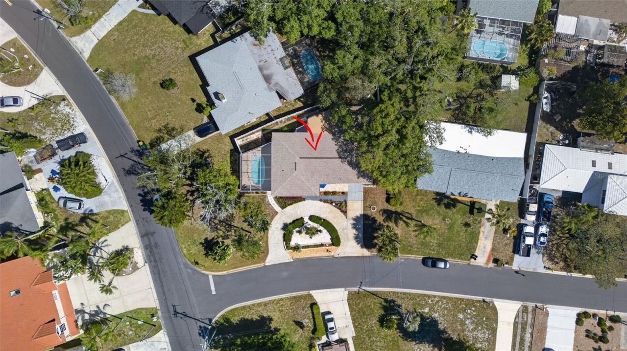209 Westwinds Drive, Palm Harbor, FL 34683 Photo