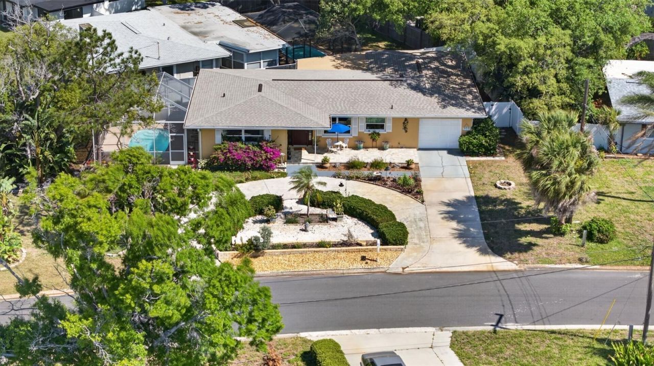 209 Westwinds Drive, Palm Harbor, FL 34683 Photo