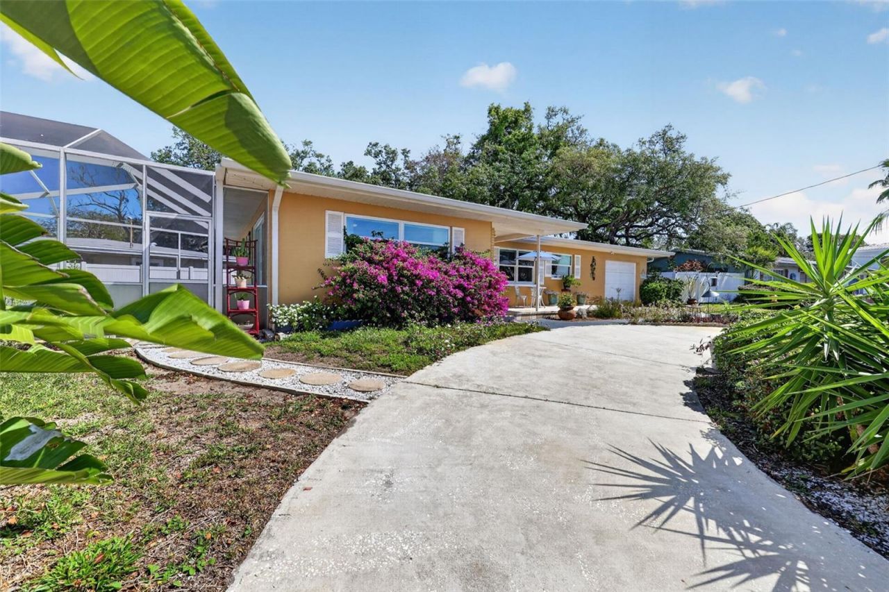 209 Westwinds Drive, Palm Harbor, FL 34683 Photo