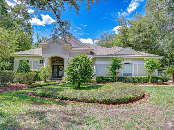 5820 AUDUBON MANOR BOULEVARD , LITHIA, FL 33547