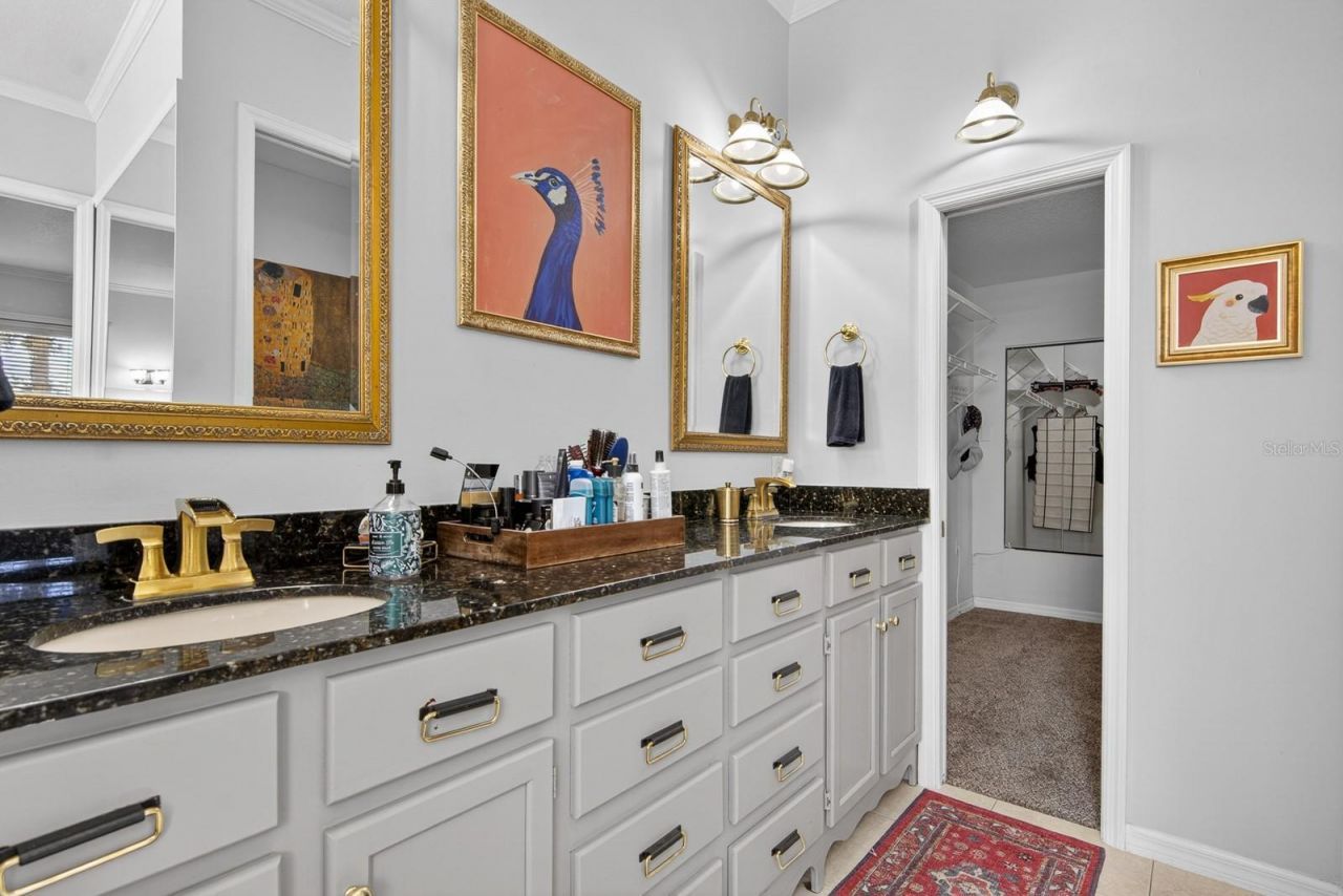 608 Vanderbaker Road, Temple Terrace, FL 33617 Photo